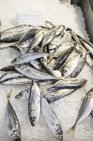 Fish in fish market counter with ice, food