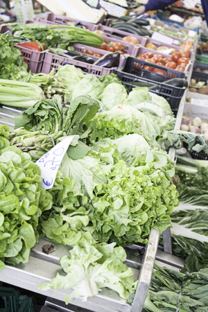 Lettuce district greengrocers with vegetables and fruits, tradeの写真素材