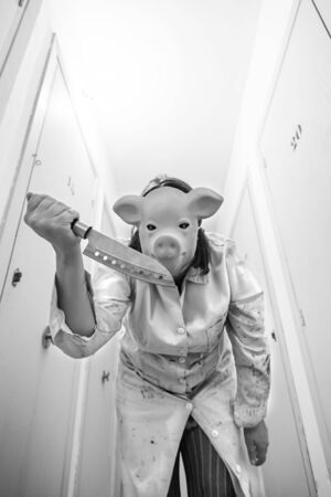 Pork attacking with knife storage, fearの写真素材