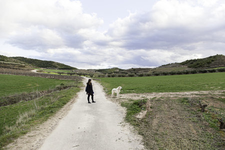 Woman with dog in countryside, animals and natureの写真素材