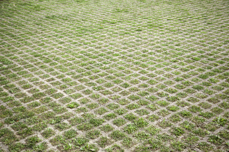 Stone floor with moss, construction and humidityの写真素材