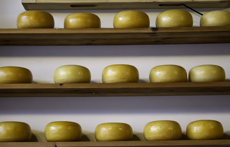 Artisan edam cheese, detail of Dutch cheese making