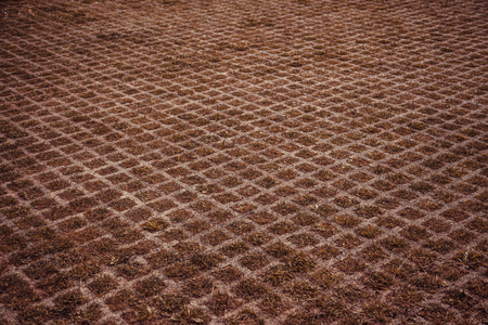 Stone floor with moss, construction and humidityの写真素材