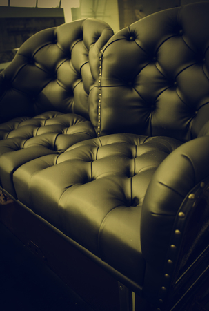 Bright leather detail, detail of animal skin on a seatの写真素材