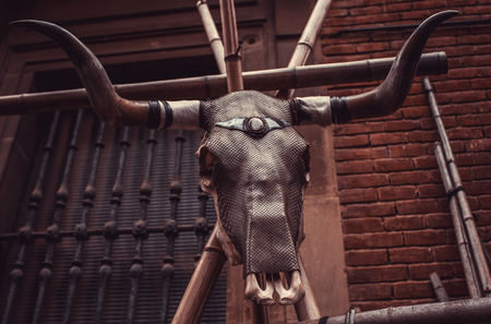 Goat skull in tent of campaign India, animals and symbolsの写真素材
