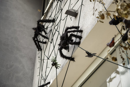 Spiderweb on old wall hallowen, animal and nature festivals