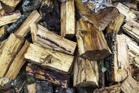 Wood logs for firewood, environment, nature
