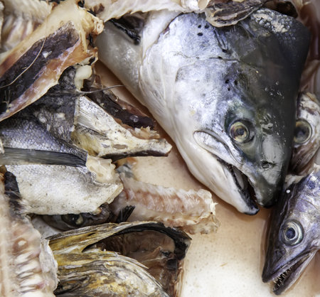 Raw and bad fish heads in the street, animal waste, fishmongerの写真素材