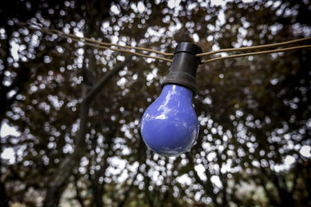 Detail of colorful painted electric light bulb, lighting and decorationの写真素材