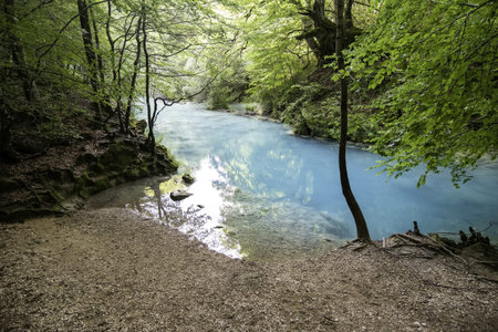 Detail of crystal clear spring water in a wild forest, natureの写真素材