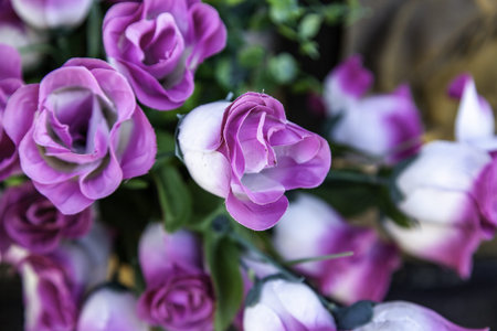 Bouquets of varied flowers celebration and event, nature