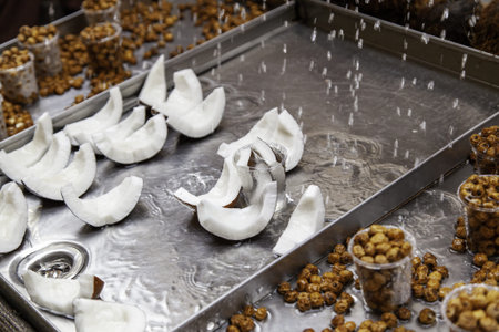 Detail of coconut pieces and dried tiger nuts at a fair, healthy foodの写真素材