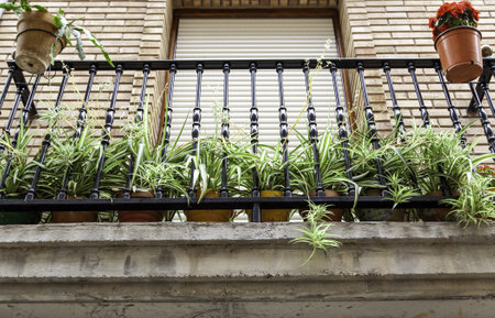 Detail of decoration with plants and flowers, nature in the cityの写真素材