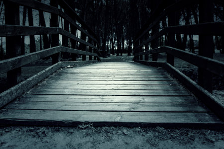 Detail of walkway for pedestrians, path and sport in natureの写真素材
