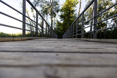 Detail of access walkway for pedestrians in natureの写真素材