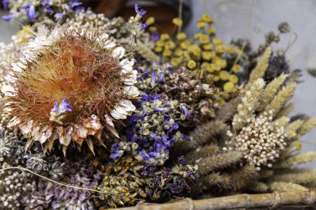 Detail of aromatherapy and nature, health careの写真素材