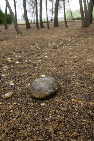 Detail of old stone in the middle of the forest, nature and relaxation