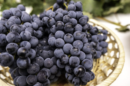 Detail of sweet fresh fruit in some vineyards