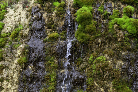 Detail of natural water fall in nature, environment