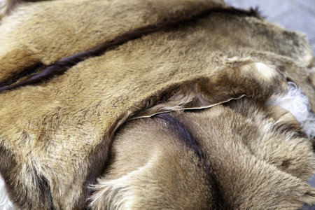 Detail of animal skins in an old marketの写真素材
