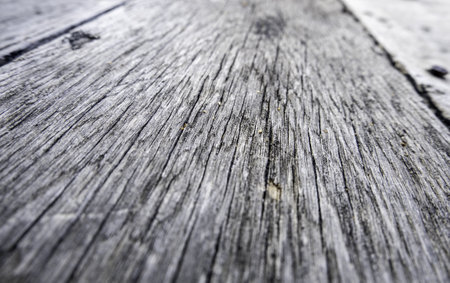 Detail of old wooden surface, erosion by the passage of timeの写真素材