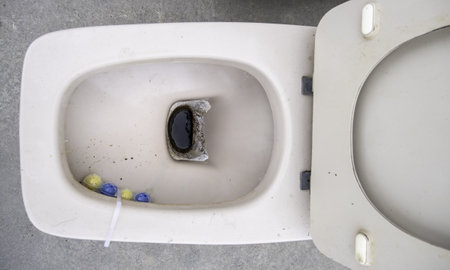 Detail of old toilet bowl thrown in the trash, recyclingの写真素材