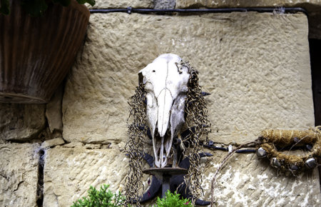 Detail of old decorative goat skull, terrifyingの写真素材