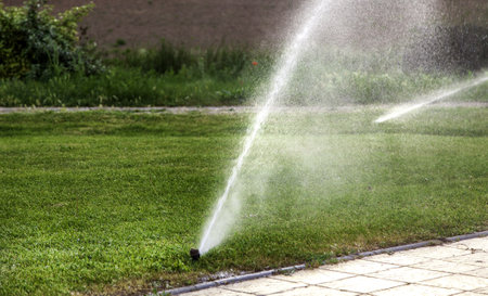Detail of sprinkler throwing water to irrigate cropsの写真素材