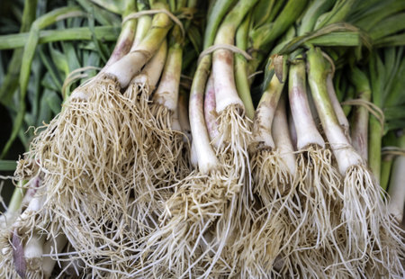Detail of fresh vegetables in a market, vegan foodの写真素材