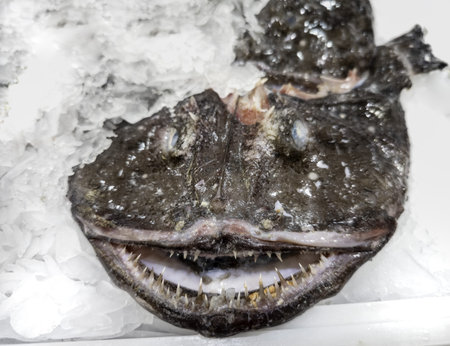 Detail of fresh fish at a city market, healthy food