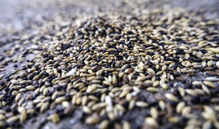 Detail of food for wild birds, animal care