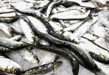 Detail of fresh fish for sale in a market on a street in Spain
