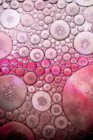 abstract colorful organic bubbles macro pattern textureの写真素材