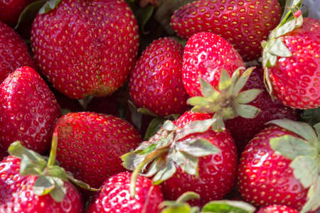 strawberry macro background close upの写真素材