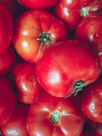 raw fresh tomatoes pattern texture from farmの写真素材