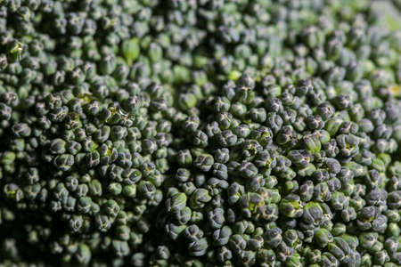 broccoli raw fresh close upの写真素材