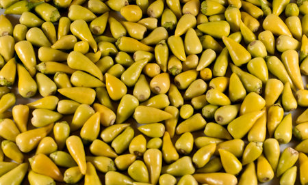 pickle ghost green chilli cayenne pepper texture pattern top view