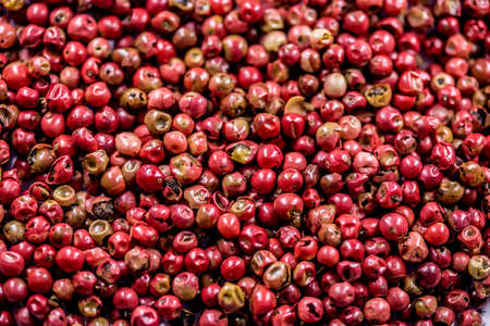 black pepper raw berriesの写真素材
