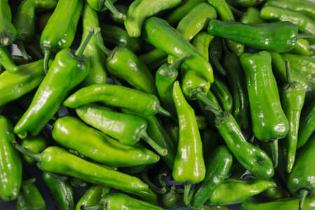 green raw pepper top viewの写真素材
