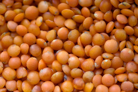 red lentil raw uncooked macro texture patternの写真素材