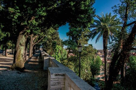 Overview of trees, cathedrals domes and roofs of buildings in the sunset of Rome, the incredible city of the Ancient Era, known as "The Eternal City". Located in the Lazio region, central Italyの写真素材