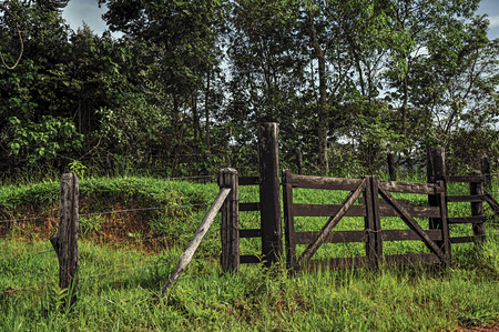 View of farm gateway in front of trees near the town of Joanópolis. In the countryside of São Paulo State, the region rich in agricultural and livestock products, southwestern Brazilの写真素材