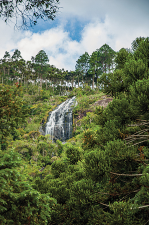 View of forest with waterfall and cliffs in a cloudy dayの写真素材