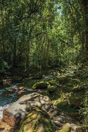 View of creek and rocks in the middle of the forest in Visconde de Maua, a village in the mountains with cold climate and perfect days for hiking. In the Rio de Janeiro State, southwestern Brazilの写真素材
