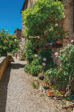 Street view with pebble walkway, flowering plants and little girl in the background in the town of Colle di Val d'Elsa. A graceful village with its historic center preserved. In the Tuscany regionの写真素材