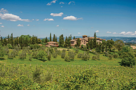 View of olive trees, vineyards and hills with villa at the top in the Tuscan countryside, an unbelievable and traditional region in the center of the Italian Peninsula. Located in the Tuscany regionの写真素材