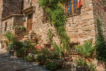 Close-up of stone facade with bindweed in an alley, at the gorgeous medieval hamlet of Les...