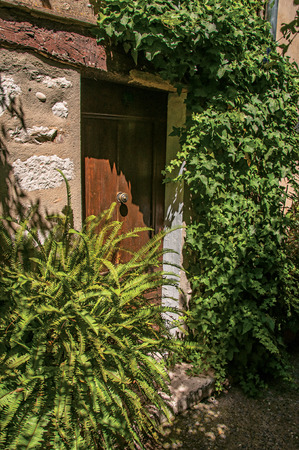 Alley view with wooden door and plants in Saint-Paul-de-Vence, a lovely well preserved medieval hamlet near Nice. Located in Alpes-Maritimes department, Provence region, southeastern Franceの写真素材