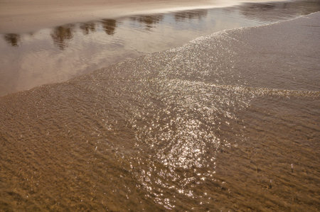 Wave view of the sea breaking on the sand