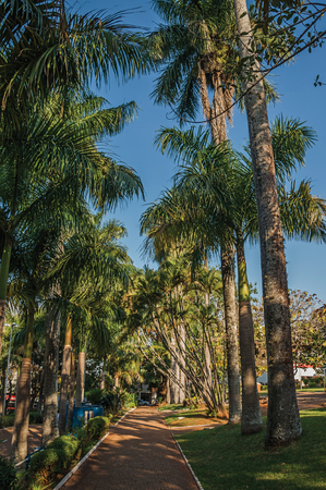 Pathway with cobblestone amidst a lush garden full of tall trees and palm trees, in a sunny day at San Manuel. A cute little town in the countryside of SÃ£o Paulo State. Southeast Brazil.の写真素材